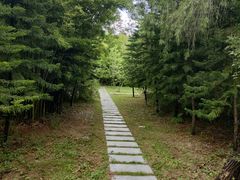 -大湾区中央湿地公园