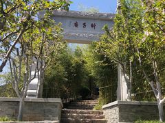 -竹子庵公园