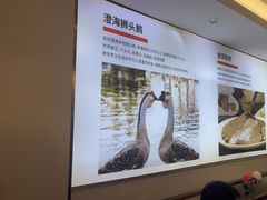 -陆记鹅庄·潮汕菜·狮头鹅(大仟里店)
