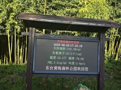 -黄海国家森林公园