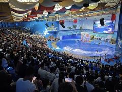 -多彩贵州城极地海洋世界