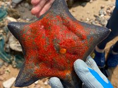 -东戴河风景区-止锚湾