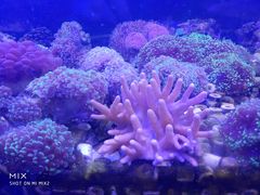 -山东柏宁水族批发广场