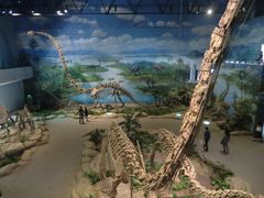 -自贡恐龙博物馆