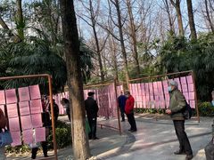 -人民公园-相亲角