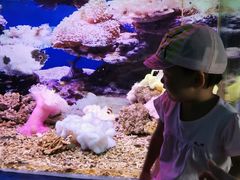 -泉州海丝野生动物世界