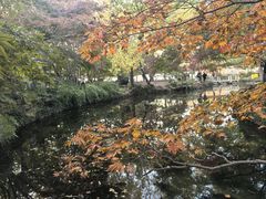 -秋霞圃