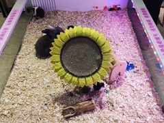 -大玩家(拱墅万达店)