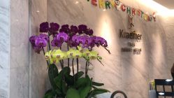 -Kraemer Paris  苏豪路易士·嘉玛发廊