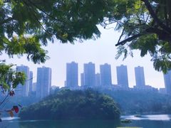 -重庆彩云湖湿地公园