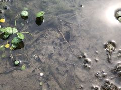 -杭州城北体育公园