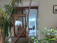 -一尺花园(安和花园店)