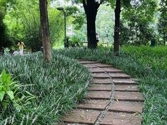 -成都市活水公园