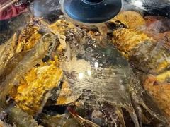 -日照海滨国家森林公园