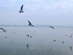 -深圳湾公园(南山区)