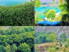 -水濂山森林公园