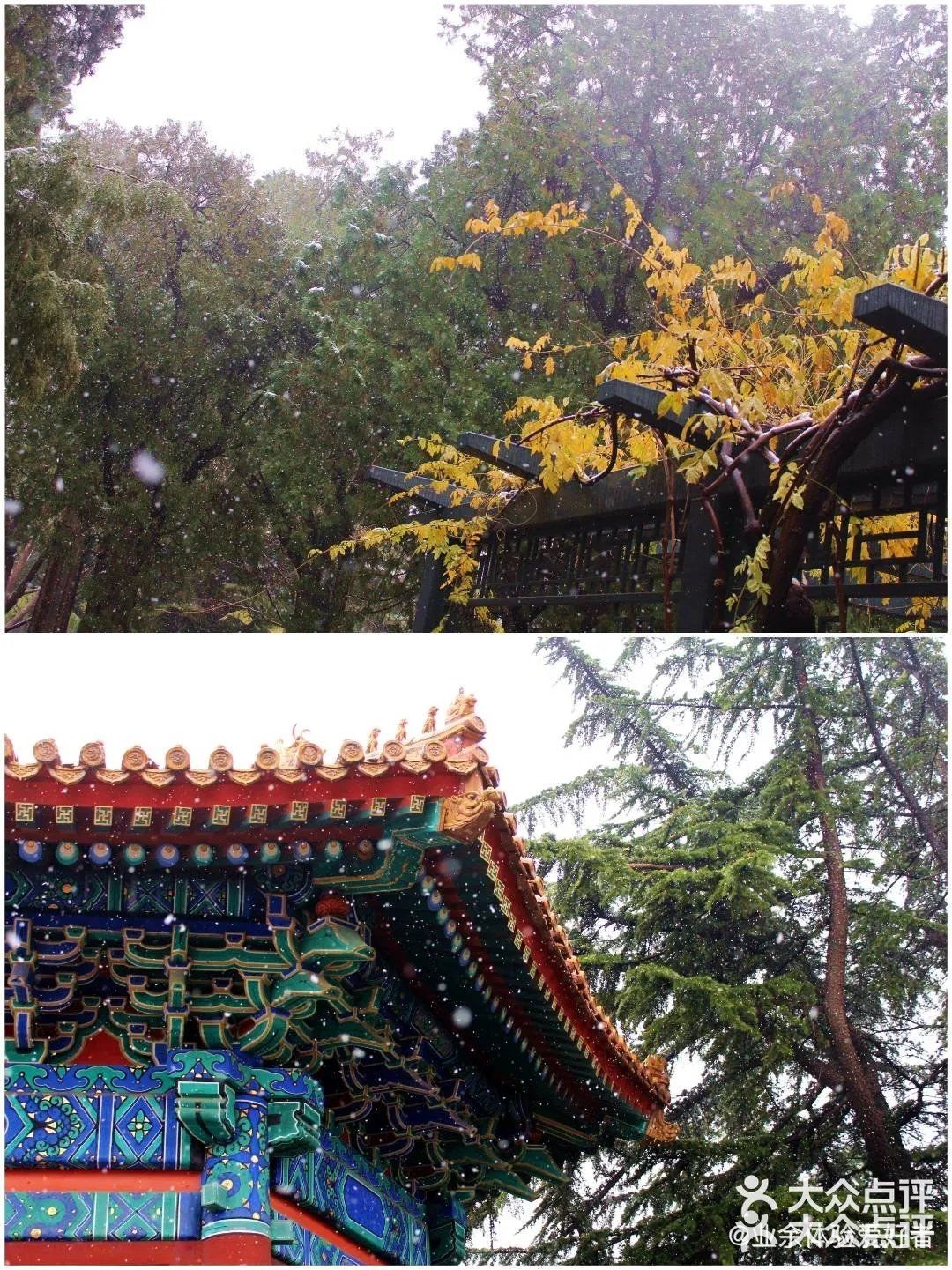 北京要下雪了，是不是故门票约不上，来太庙