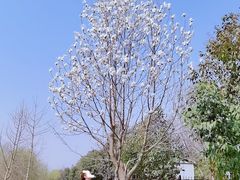 -西安汉城湖景区