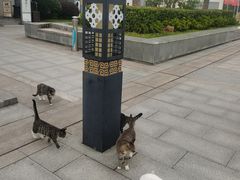 -采石矶景区