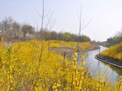 -江苏三台山国家森林公园