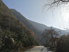 -少华山国家森林公园
