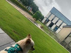 -万科前海企业公馆