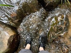 -黄埔油麻山森林公园