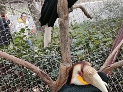 -乐和乐都主题乐园