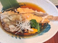 -桥岚·巷子鲜河豚鱼(专门店)