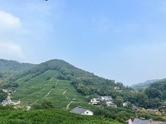 -阿巧茶庄