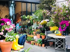 -PlantsEatery·植物食堂(REX春熙店)