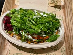 -油梨树 AVOCADO TREE(亮马桥店)