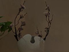 -Sakura·美颜社·日式私汤SPA