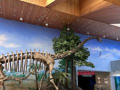 -延庆地质公园博物馆