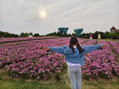 -歌斐颂巧克力小镇