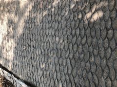 -武汉大学老图书馆