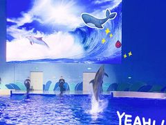 -石家庄极地海洋世界