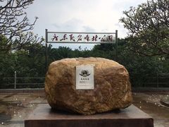 -广东茂名森林公园