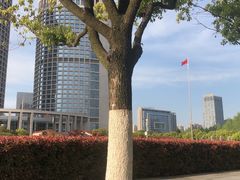 -天鹅湖体育公园