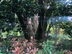 -韩湘水博园