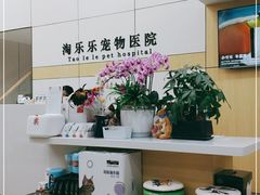 -凯瑞希宠物医院·狂犬免疫·微创·皮肤科