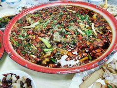 -东吴霸王兔(松青路店)