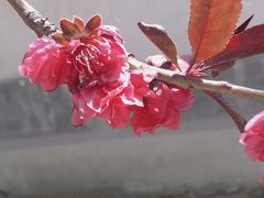 -盛世南宫影视城(北普陀影视城)