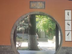 -灵谷景区