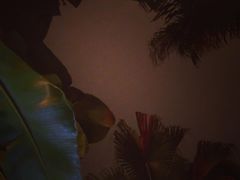-汇雅温泉
