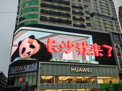 -茶颜悦色(平和堂负一楼店)