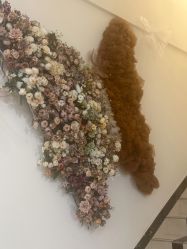 -Fanni美甲美睫皮肤管理