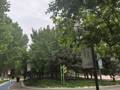 -五环公园