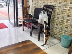 -洁美凉粉店(温江店)