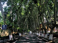 -T80科技文化国际社区-停车场